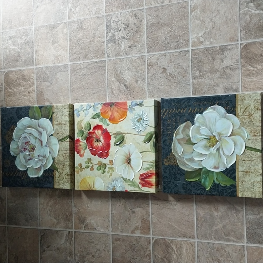 Set of 3 flower themed  canvas wall decor.